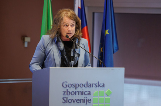 GZS-UL3.jpg