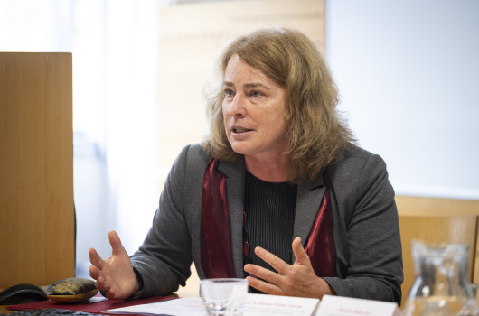 prof. dr. Ksenija Vidmar Horvat.jpg