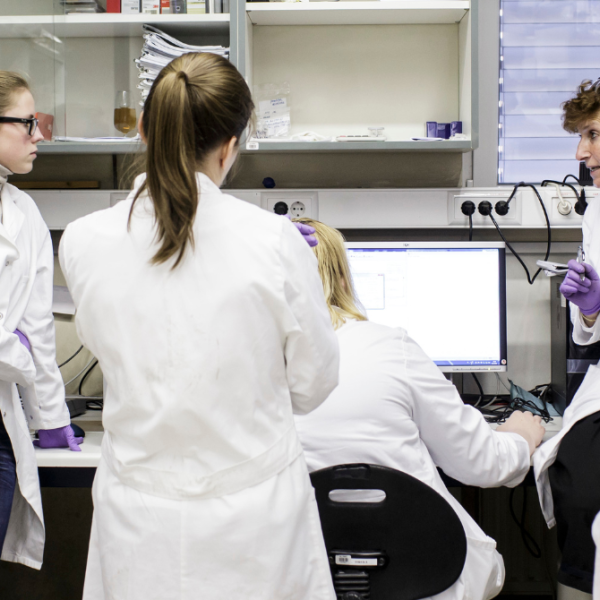 2015 - 1740x670px - Dejavnosti UL (Željko Stevanić, IFP) 09