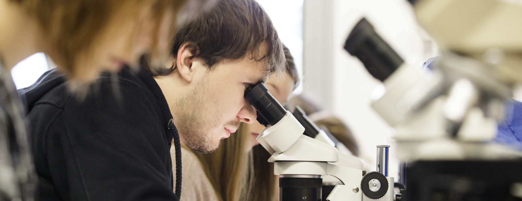 2015 - 1740x670px - Dejavnosti UL (Željko Stevanić, IFP) 10