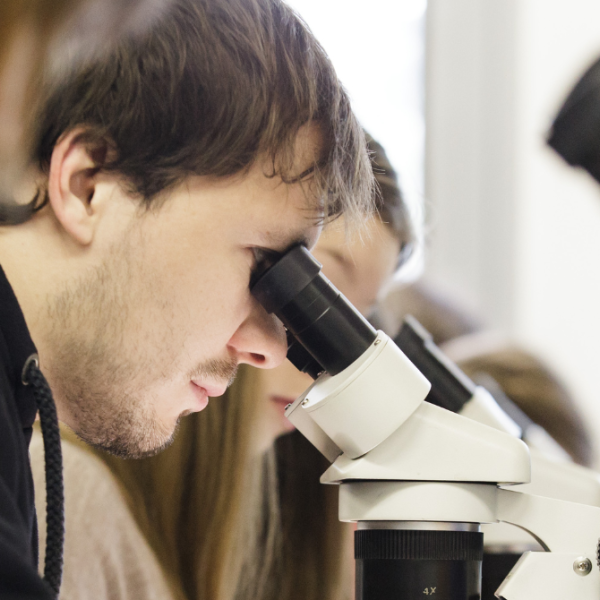 2015 - 1740x670px - Dejavnosti UL (Željko Stevanić, IFP) 10