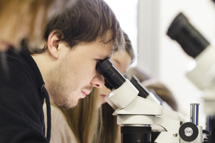 2015 - 1740x670px - Dejavnosti UL (Željko Stevanić, IFP) 10