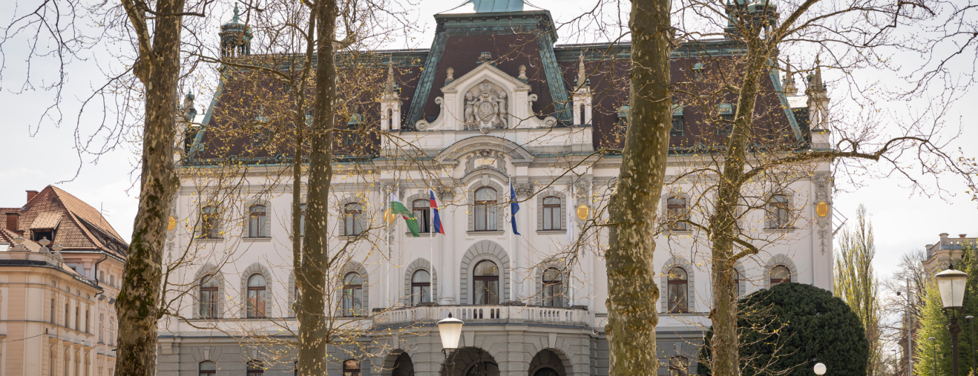 Foto14a_Bor Slana_STA.png