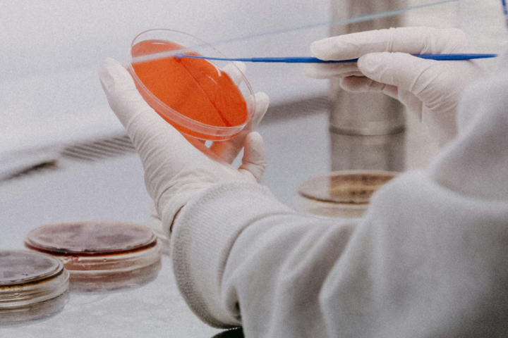 Laboratorij, Foto: Unsplash