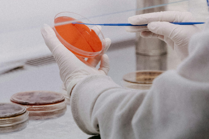 Laboratorij, Foto: Unsplash