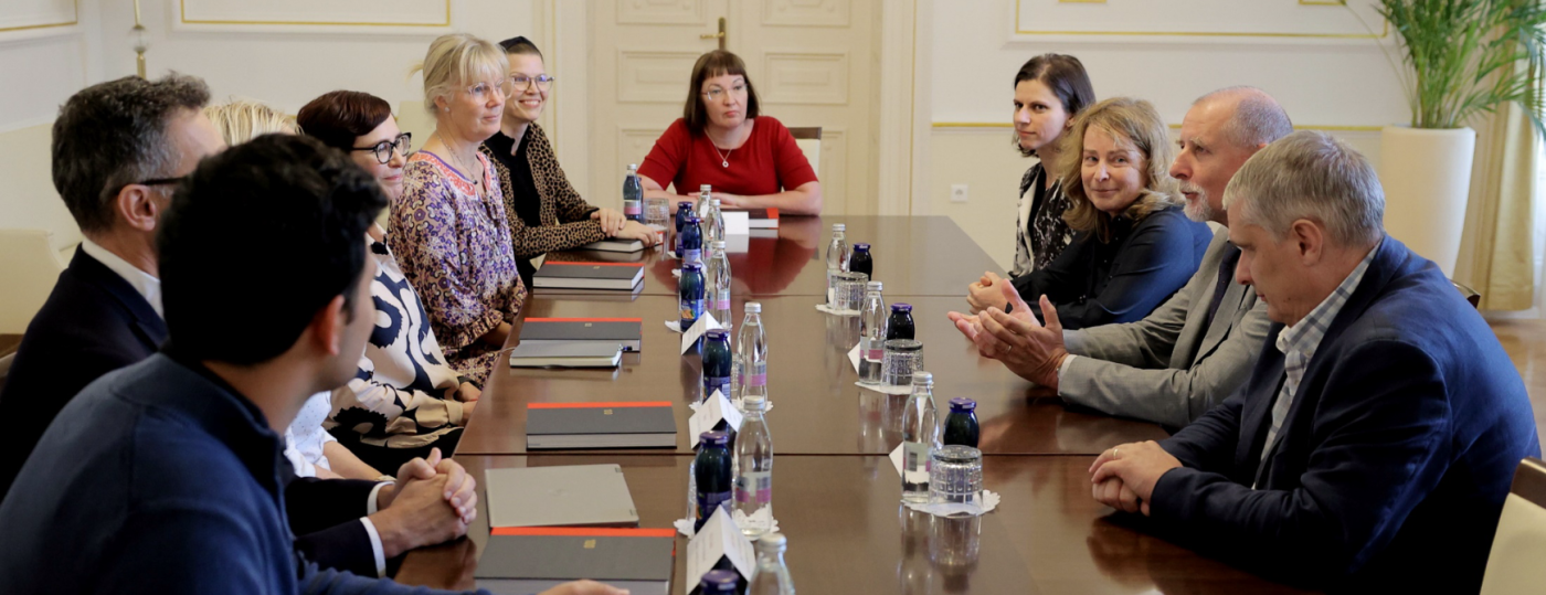 Mednarodna institucionalna presoja