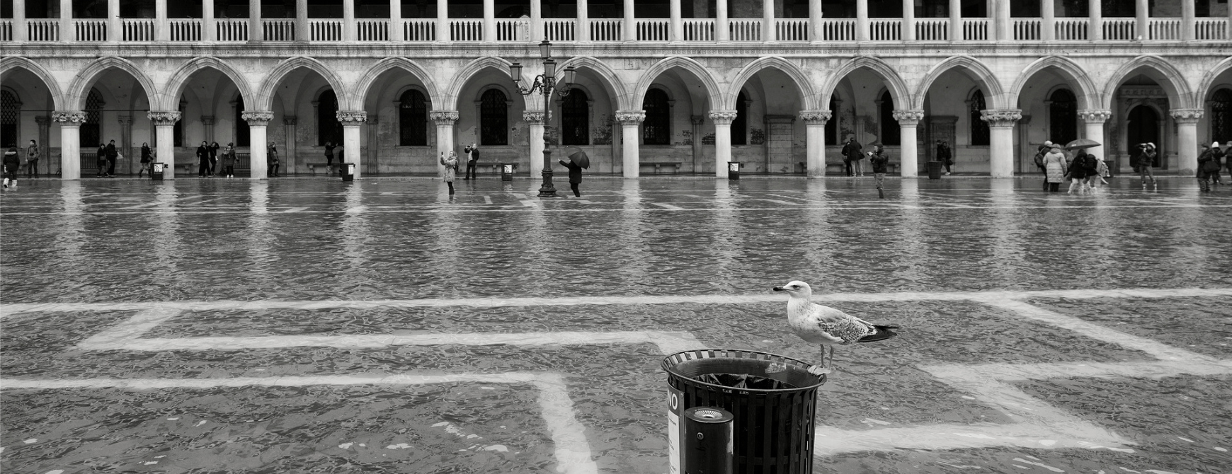 Konferenca o komuniciranju podnebne krize_Foto Arne Hodalič.png