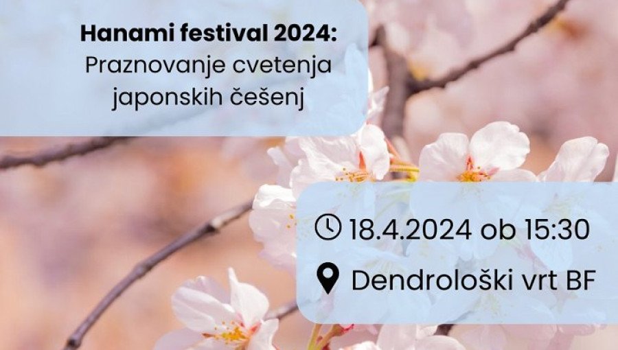 Hanami_vizual.jpg