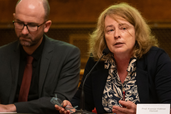 spletna stran (4).png