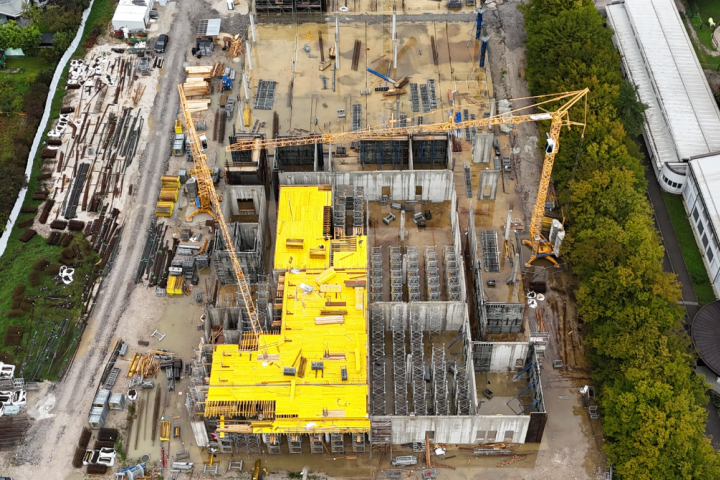 spletna stran_VF.png