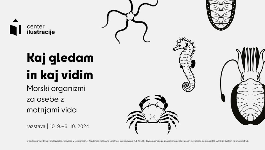 Kaj gledam in kaj vidim.jpg