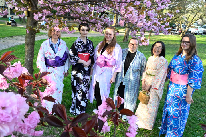 Hanami 2026.jpg