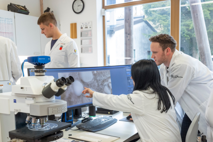 Bor SlanaSTA 1740 x 670.png