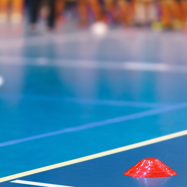 Nov korak do svetovnega zemljevida telesne zmogljivosti mladih.png