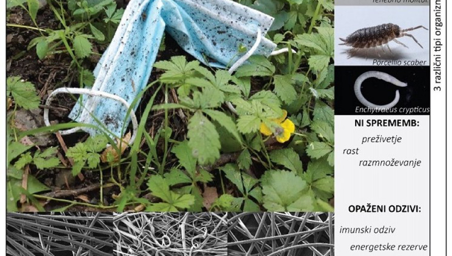 Iz treh slojev mask so raziskovalci pridobili tri različne tipe mikroplastike z različnimi fizikalno-kemijskimi lastnostmi.jpg