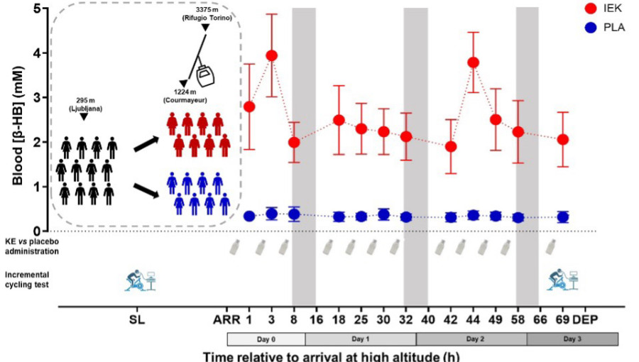 UL FŠ eksogena ketoza2.jpg