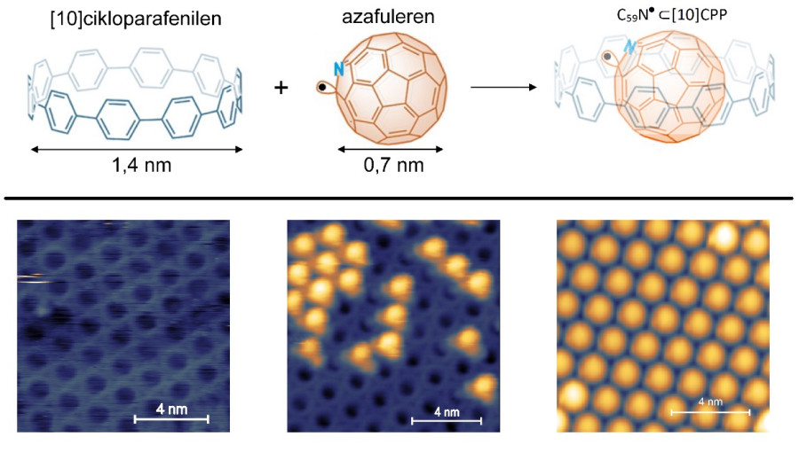 UL PEF radikal C59N.jpg