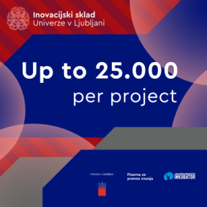 UL Innovation fund