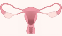endometriosis_800x470.png