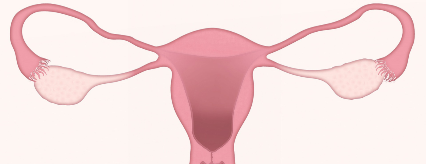 endometriosisi 1740x670.png