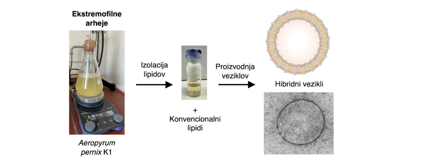 pidna_sestava_desktop.png