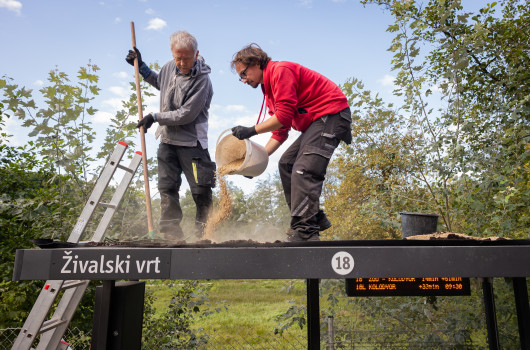 Priprava nadstrešnice - dodajanje peska