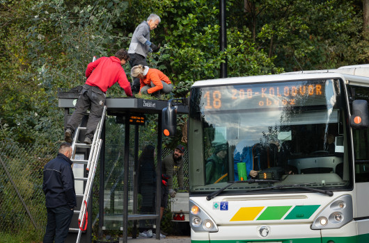 Zasaditev nadstrešnic_LPP linija 18