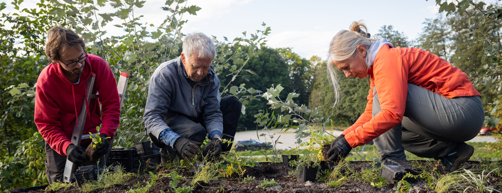 People planting seedlings on the bus shelter rooftop