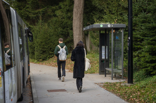 Končna zasaditev na postaji ZOO