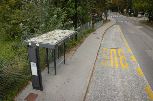 Ozelenjeno postajališče