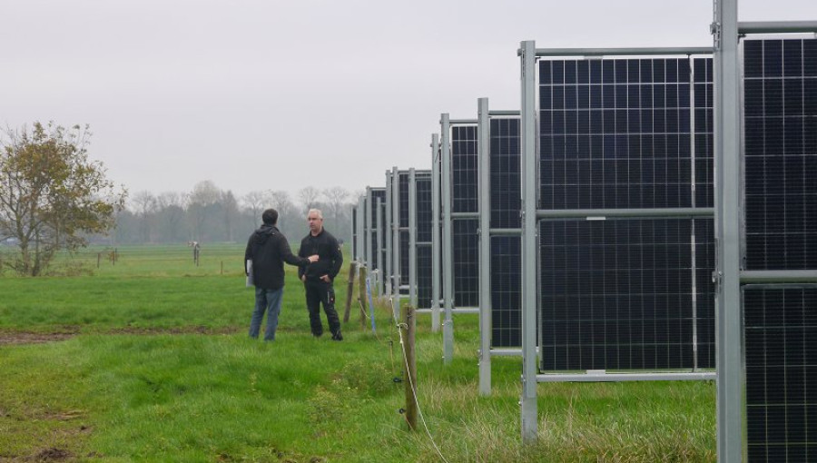 Sončna elektrarna (Foto: Dirk Oudes)