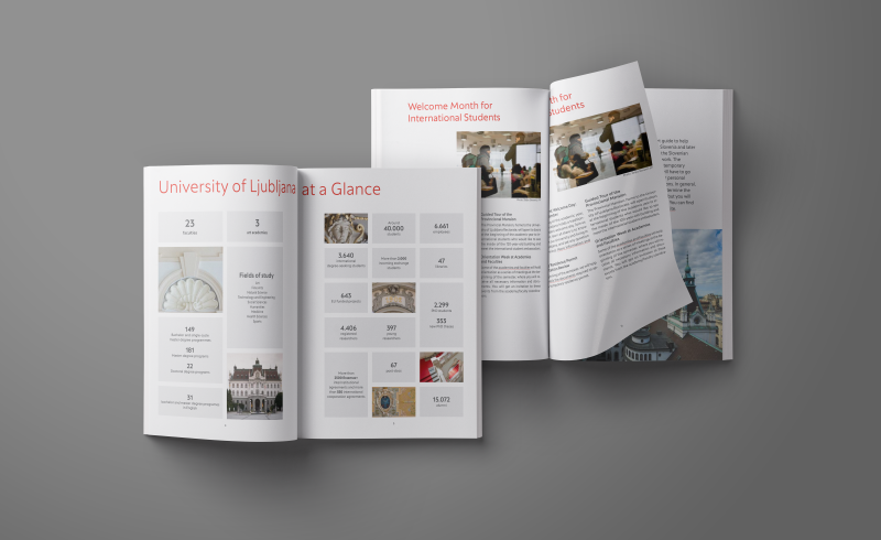 Welcome Guide Mockup.png