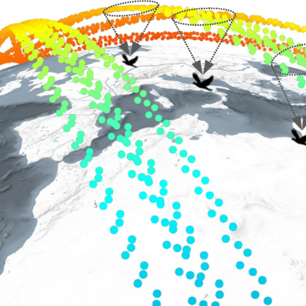 LinkingSwarmToBirdTrackingData.png