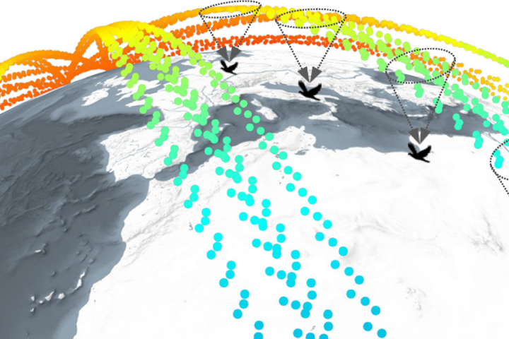 LinkingSwarmToBirdTrackingData.png