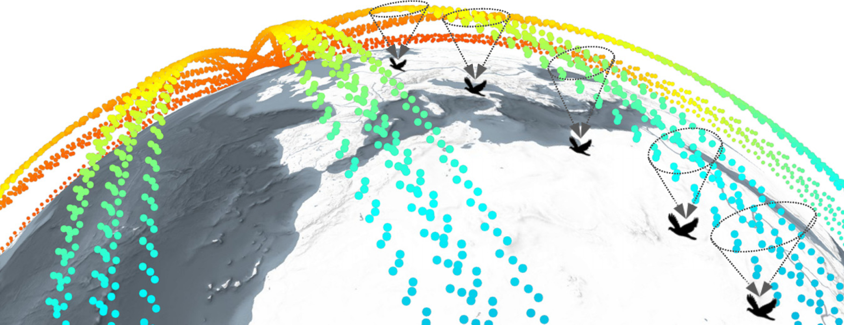 LinkingSwarmToBirdTrackingData.png