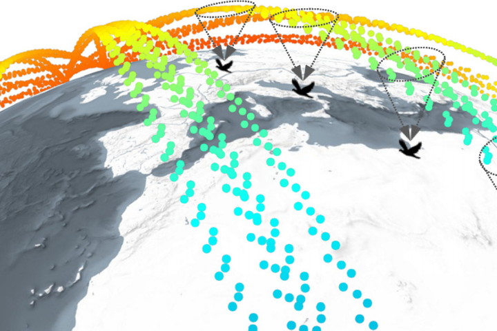LinkingSwarmToBirdTrackingData.png