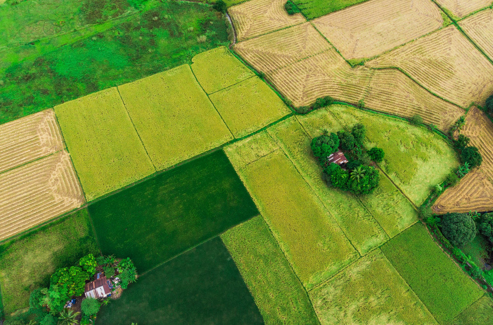 pexels-ferdie-drone-297619-14408682.jpg