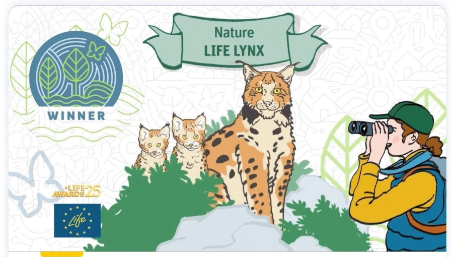 Foto 4_LIFE Lynx, zmagovalec v kategoriji Narava.jpg