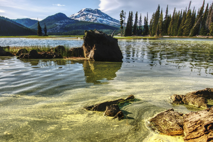 Water pollution