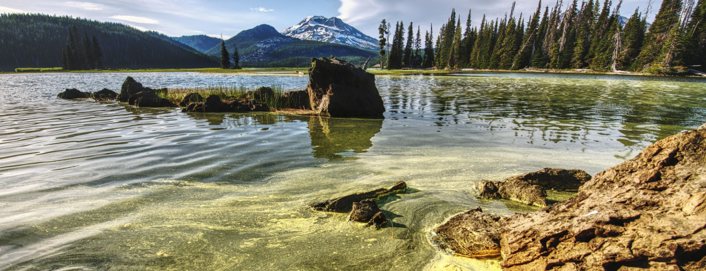 Water pollution