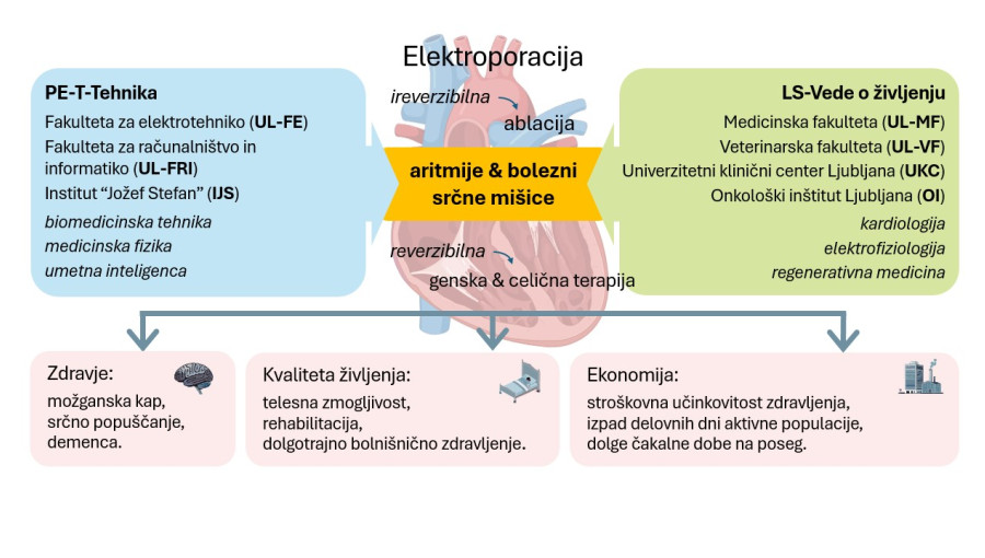 diagram ang.jpg