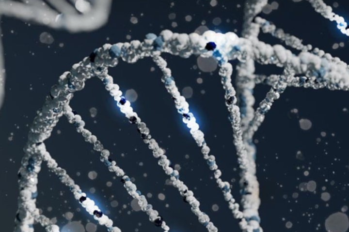 Genetic code