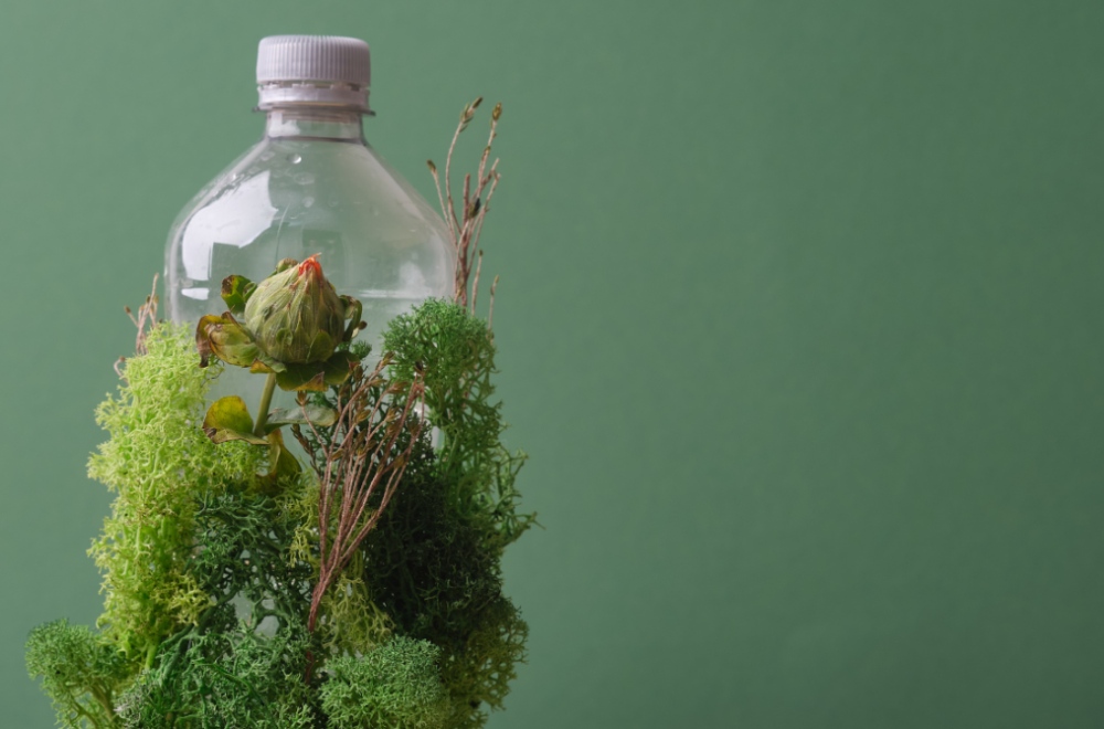 A bottle wrapped in greenery