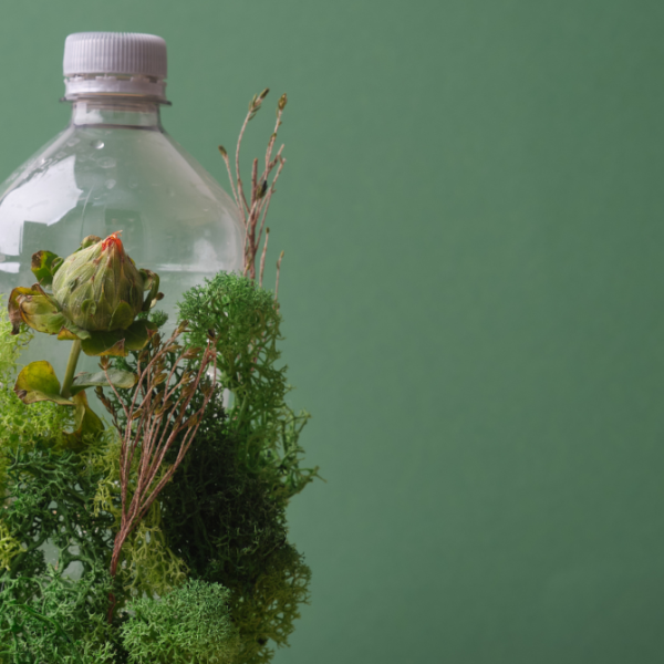A bottle wrapped in greenery