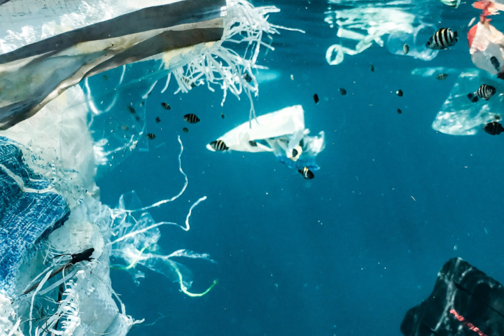 Water pollution