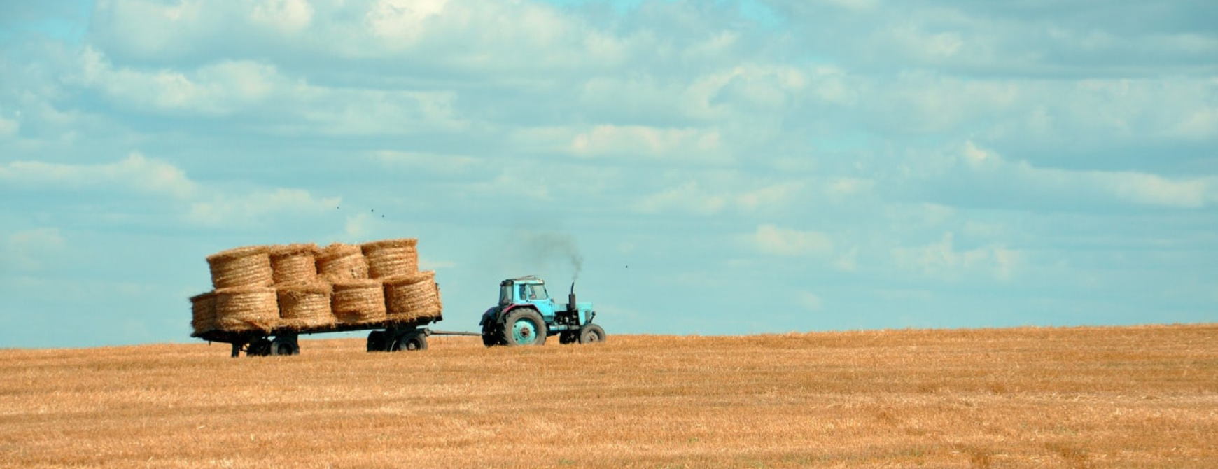 Agriculture