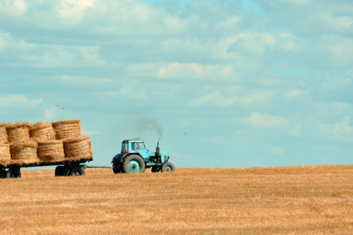 Agriculture