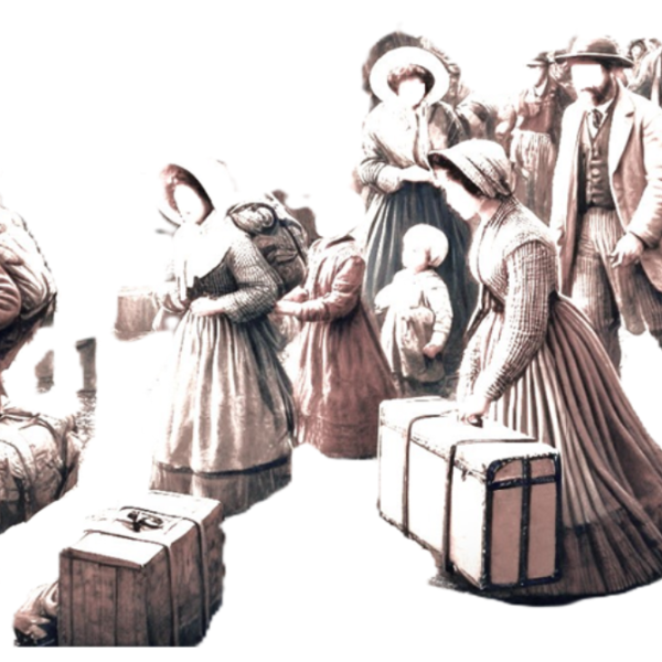 Migracije