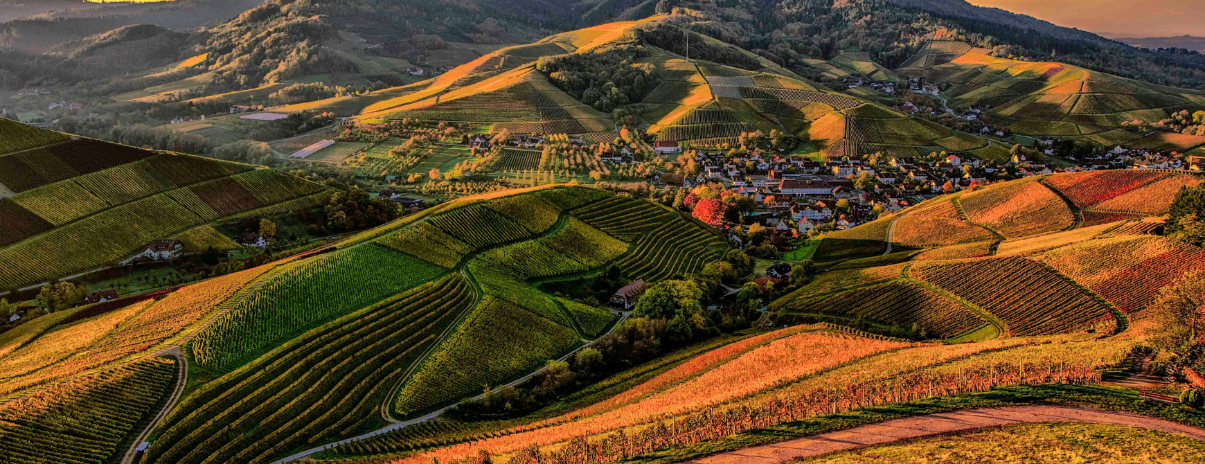 Rural area