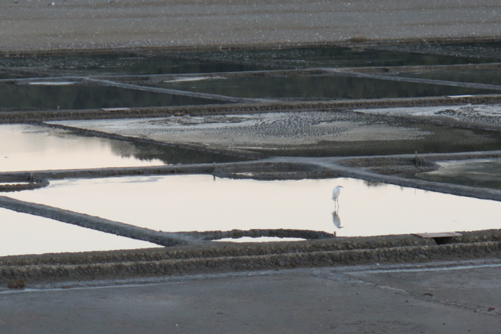 Salt pan
